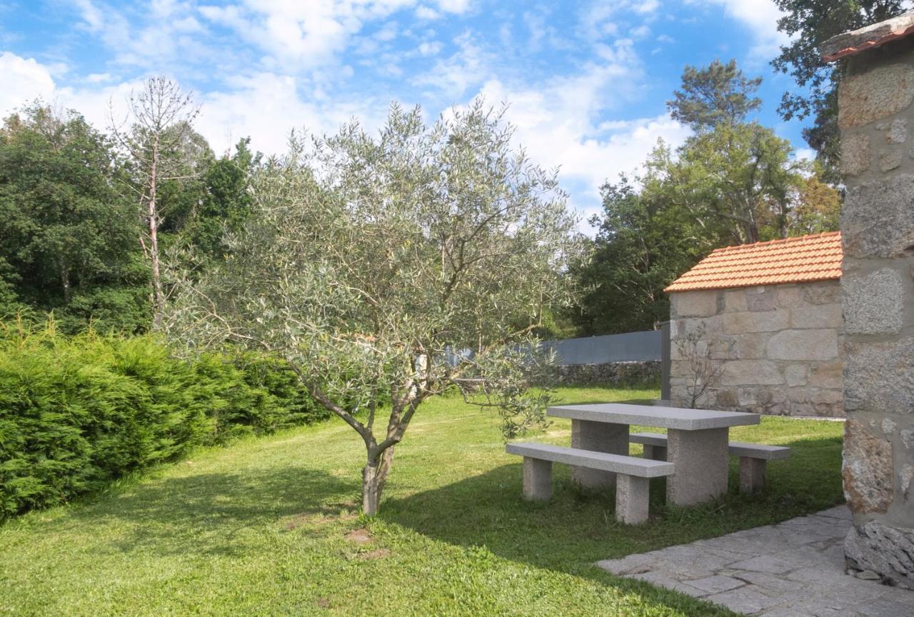 Casas D'Oliva Lägenhet Caramulo Exteriör bild